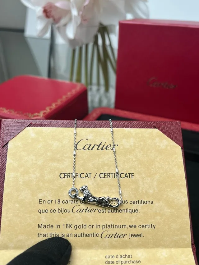 Cartier Collier Minimaliste avec Pendentif Argenté 3
