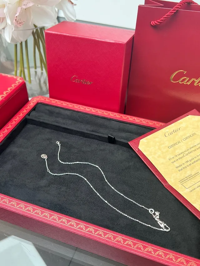 Cartier Collier Minimaliste avec Pendentif Argenté 4