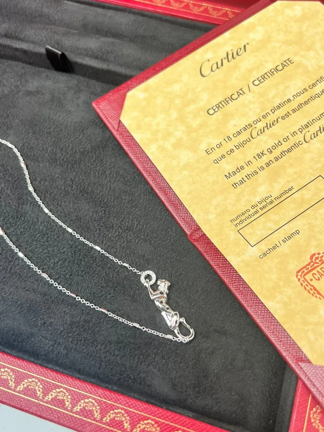 Cartier Collier Minimaliste avec Pendentif Argenté 6