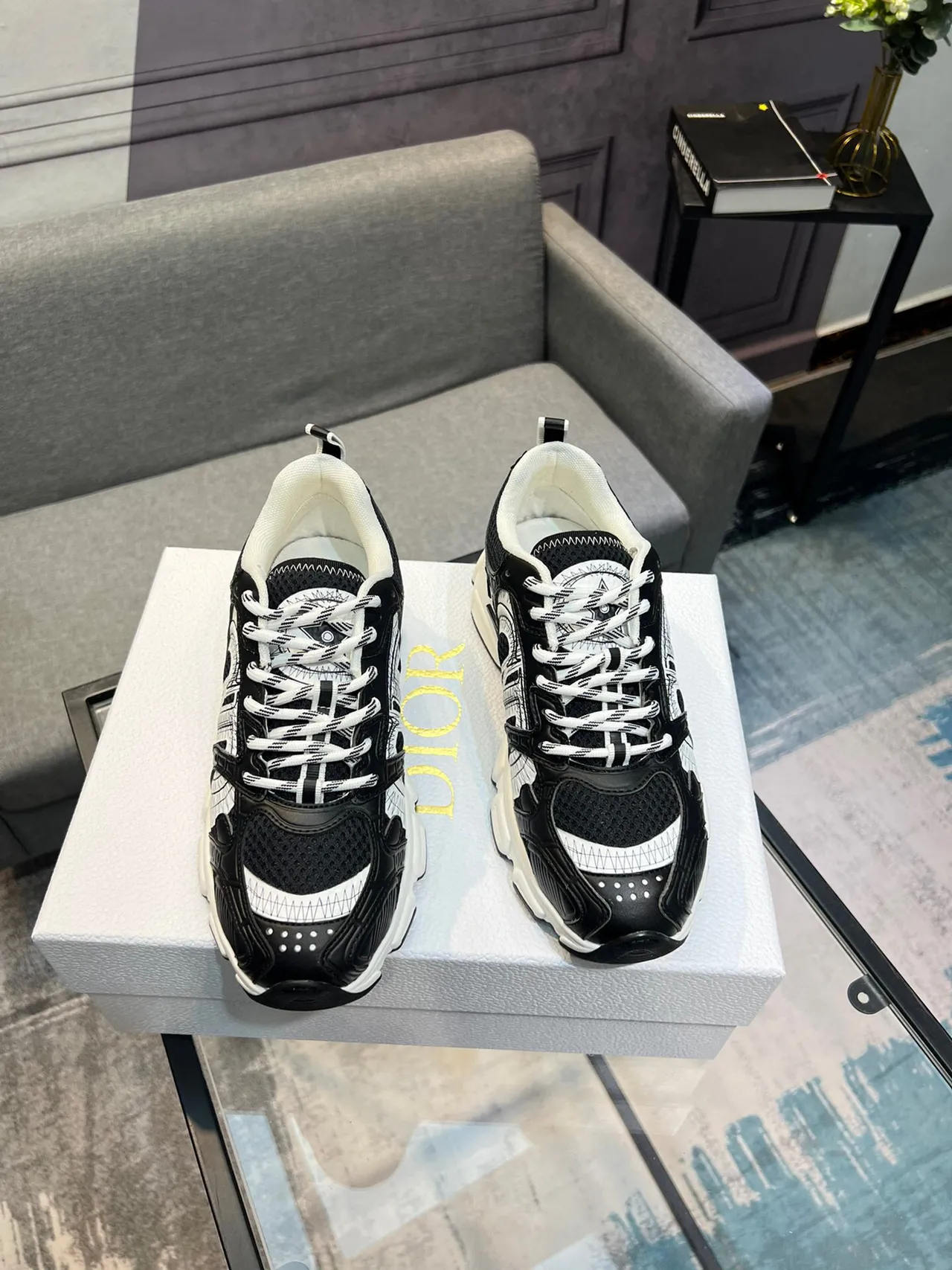 Dior B23 Black and White Graphic Chunky Sneakers 4