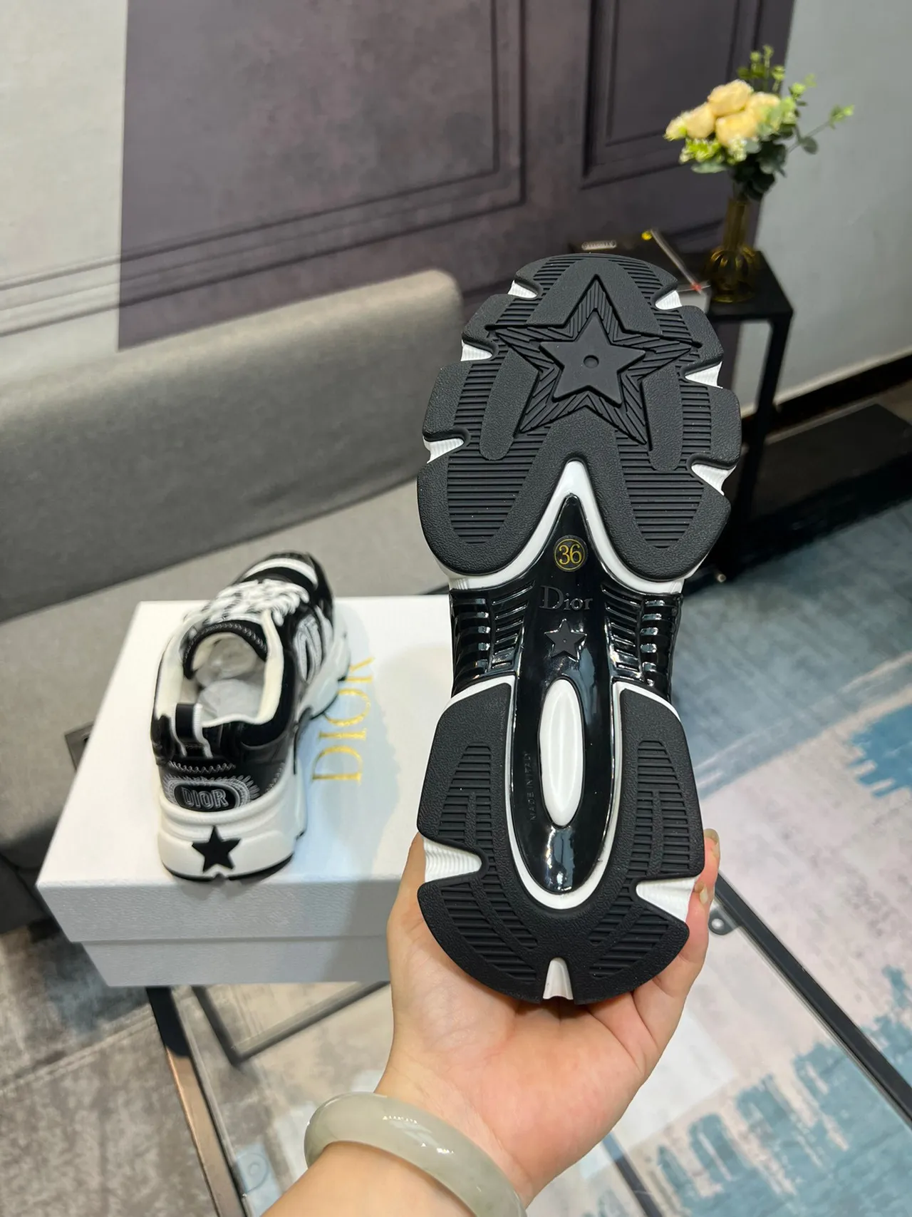 Dior B23 Black and White Graphic Chunky Sneakers 6