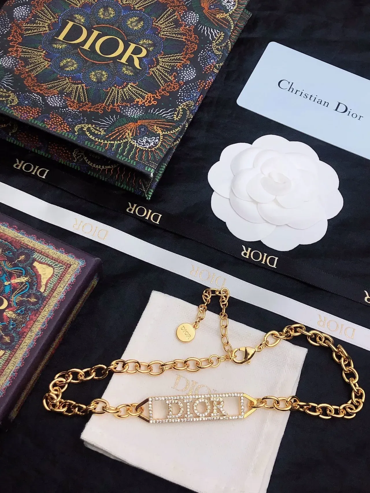 Collier Dior Chaîne à Maillons Ovales Or Blanc Ornée de Cristaux Plaque Logo 8