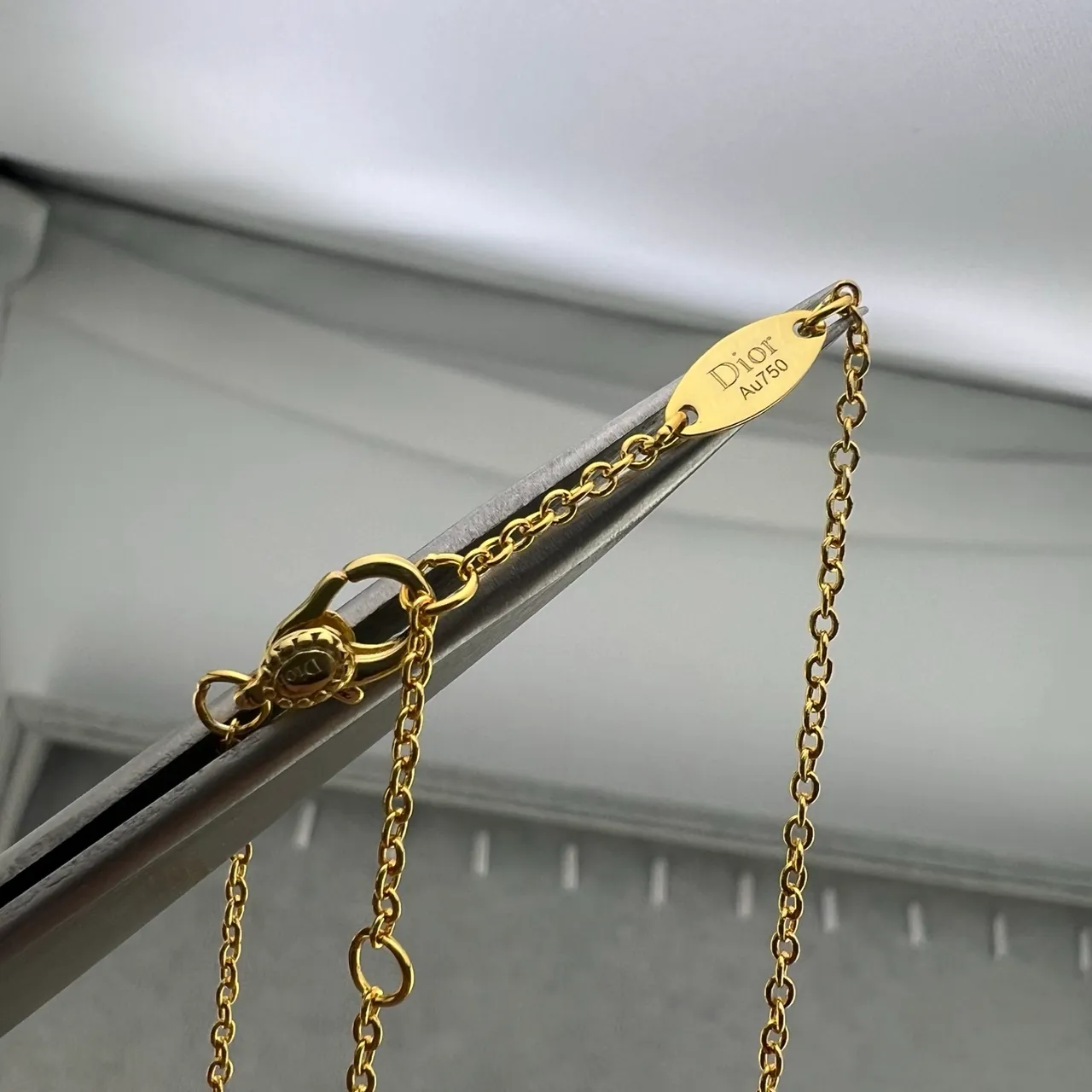 Dior Rose des Vents Enamel Compass Pendant Necklaces 2