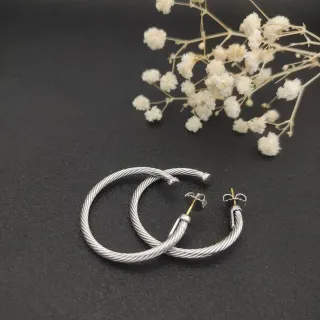 Silver Gold Twisted Cable Hoop Earrings