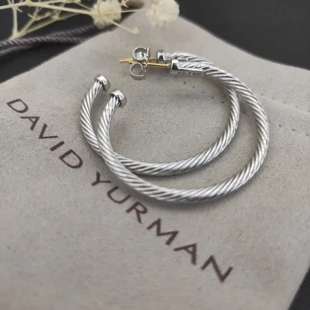 Silver Gold Twisted Cable Hoop Earrings 2