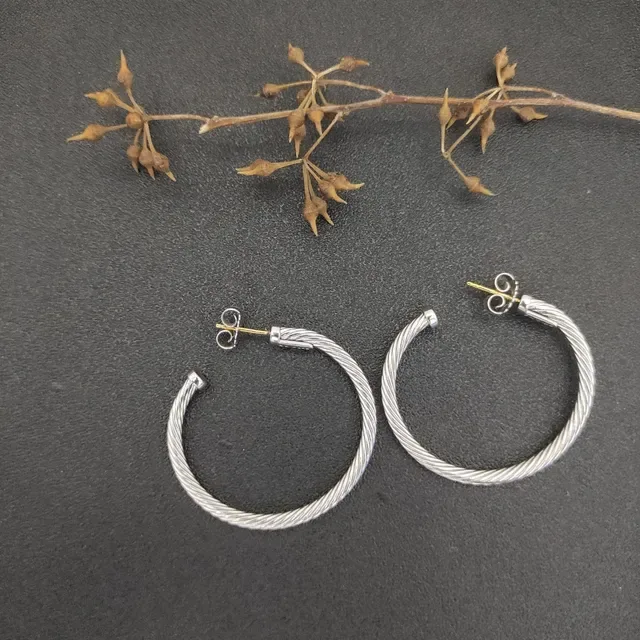 Silver Gold Twisted Cable Hoop Earrings 6