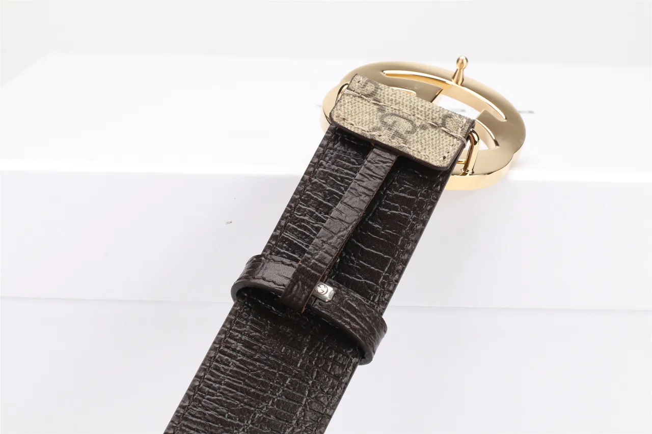 Gucci GG Marmont Interlocking G Buckle Beige and Brown Leather Belt 5