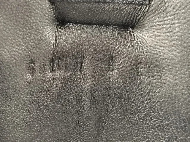 Gucci Rhyton Monochrome Preto Tênis Chunky 12