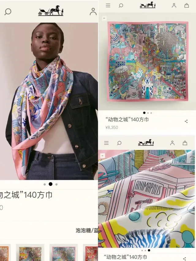 Hermès Multicolor Pink Vibrant Illustrated Motif Herringbone Border Scarve 3