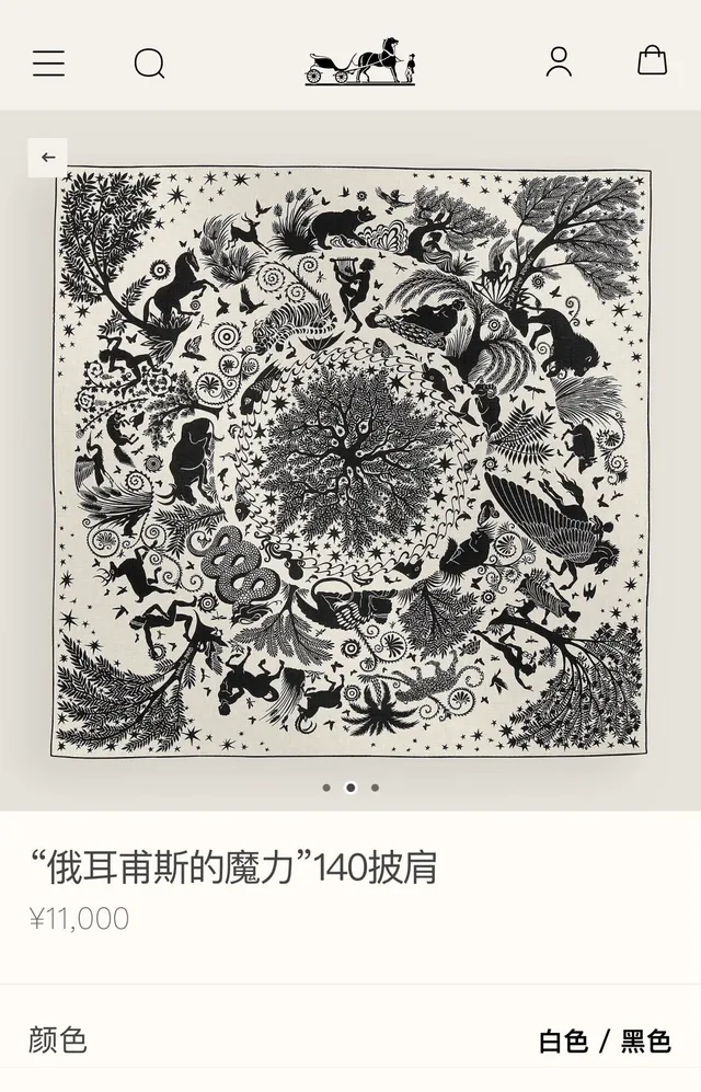 Hermès 白黑植物印花人物剪影图案丝巾 2