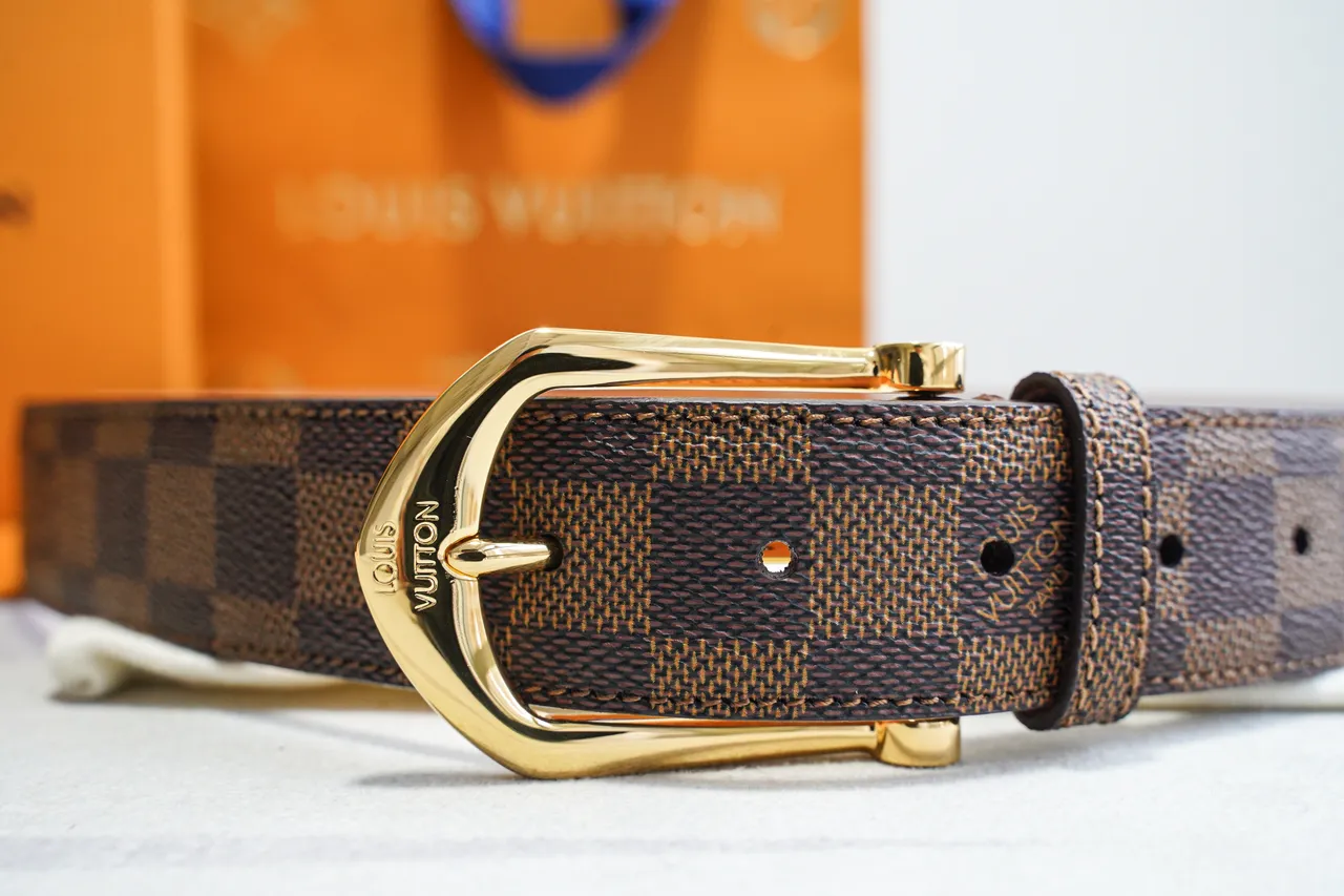 Louis Vuitton Damier Ebène Ceinture marron doré en toile avec boucle en cuir 2
