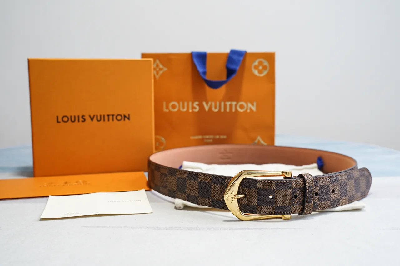 Louis Vuitton Damier Ebène Ceinture marron doré en toile avec boucle en cuir 3