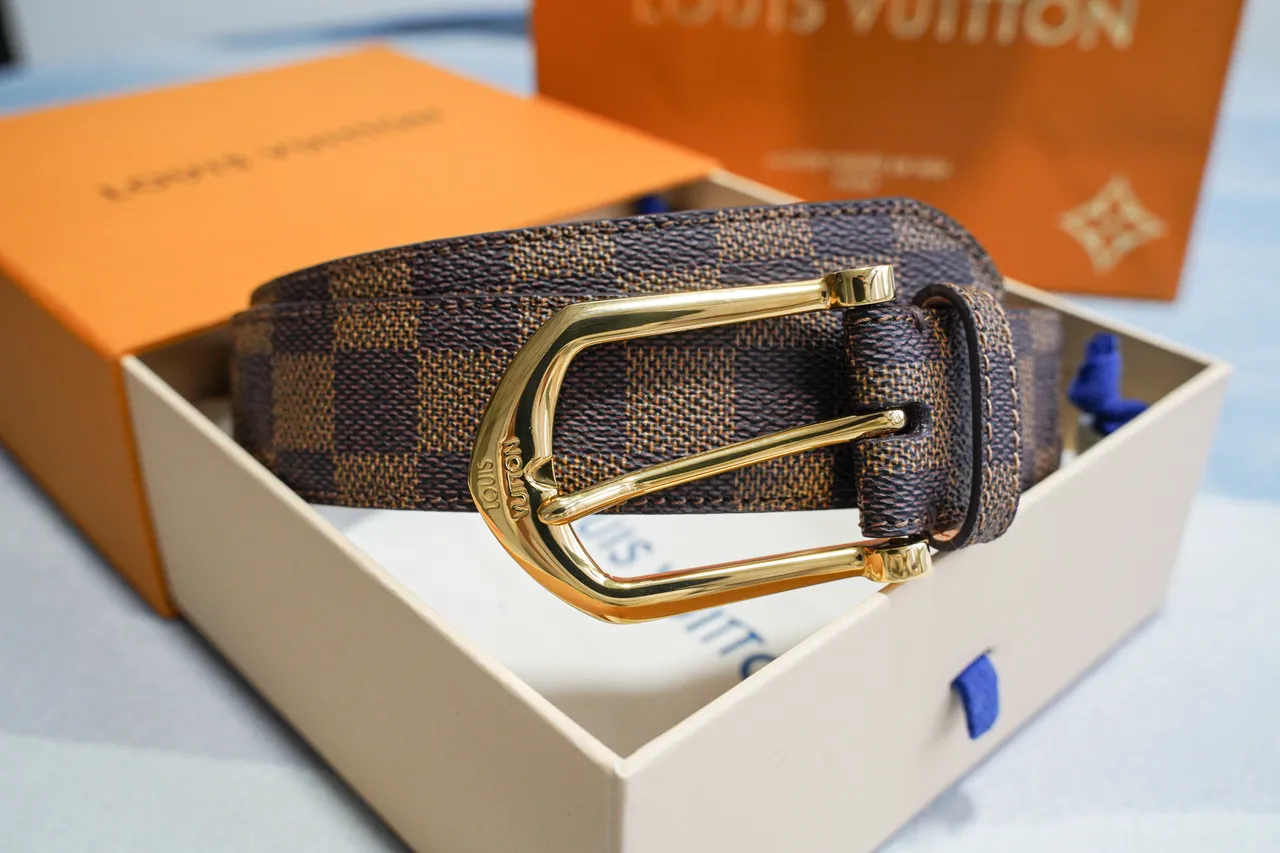 Louis Vuitton Damier Ebène Ceinture marron doré en toile avec boucle en cuir 6