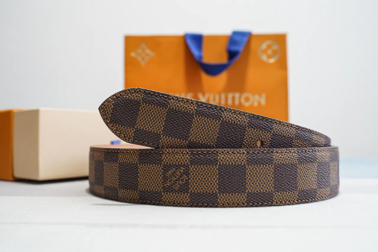 Louis Vuitton Damier Ebène Ceinture marron doré en toile avec boucle en cuir 8