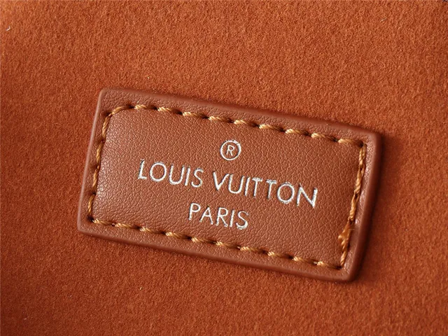 Louis Vuitton Gray Brown Soft Rounded Silhouette Matte Light Leather Underarm Bag 3