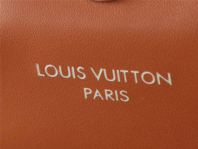 Louis Vuitton Gray Brown Soft Rounded Silhouette Matte Light Leather Underarm Bag 6