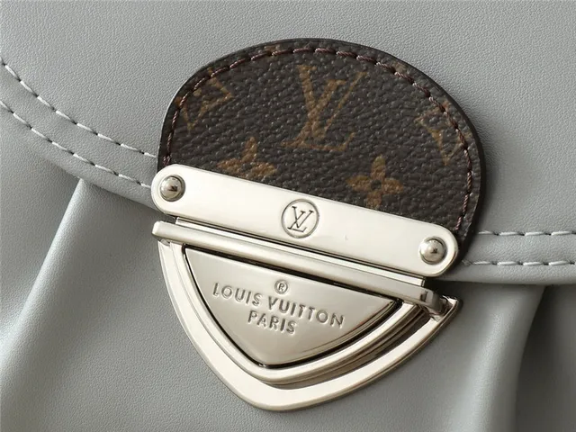 Louis Vuitton Gray Brown Soft Rounded Silhouette Matte Light Leather Underarm Bag 14