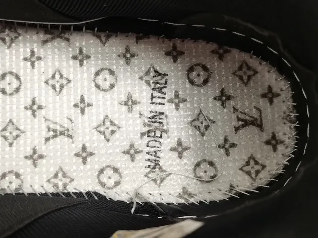 Louis Vuitton LV Trainer Black Beige Chunky Layered Sole Suede And Mesh Upper Lifestyle Sneakers 2
