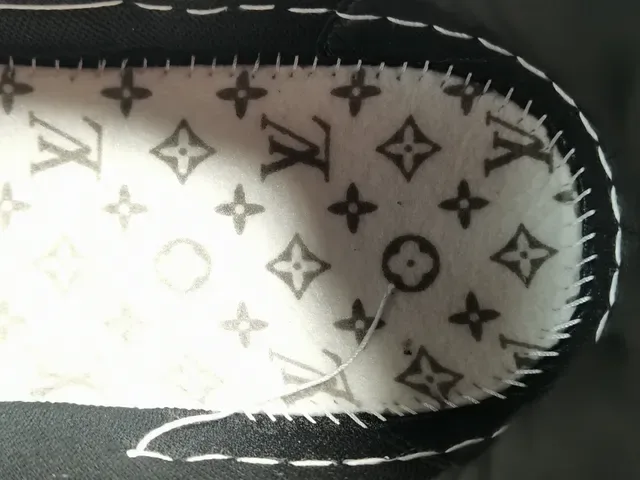 Louis Vuitton LV Trainer Black White Monogram-Print Textile Leather Overlays Lifestyle Sneakers 3