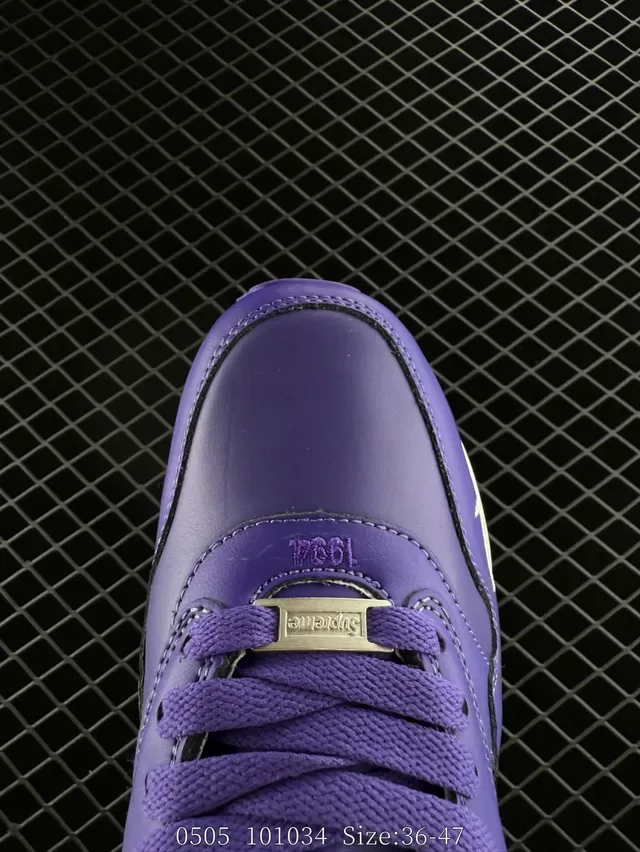 Nike Air Max 1 Purple and White Lifestyle Sneakers 2