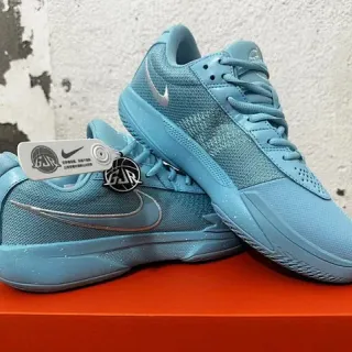 Nike Blue Silver Low-Top Basketball Shoes