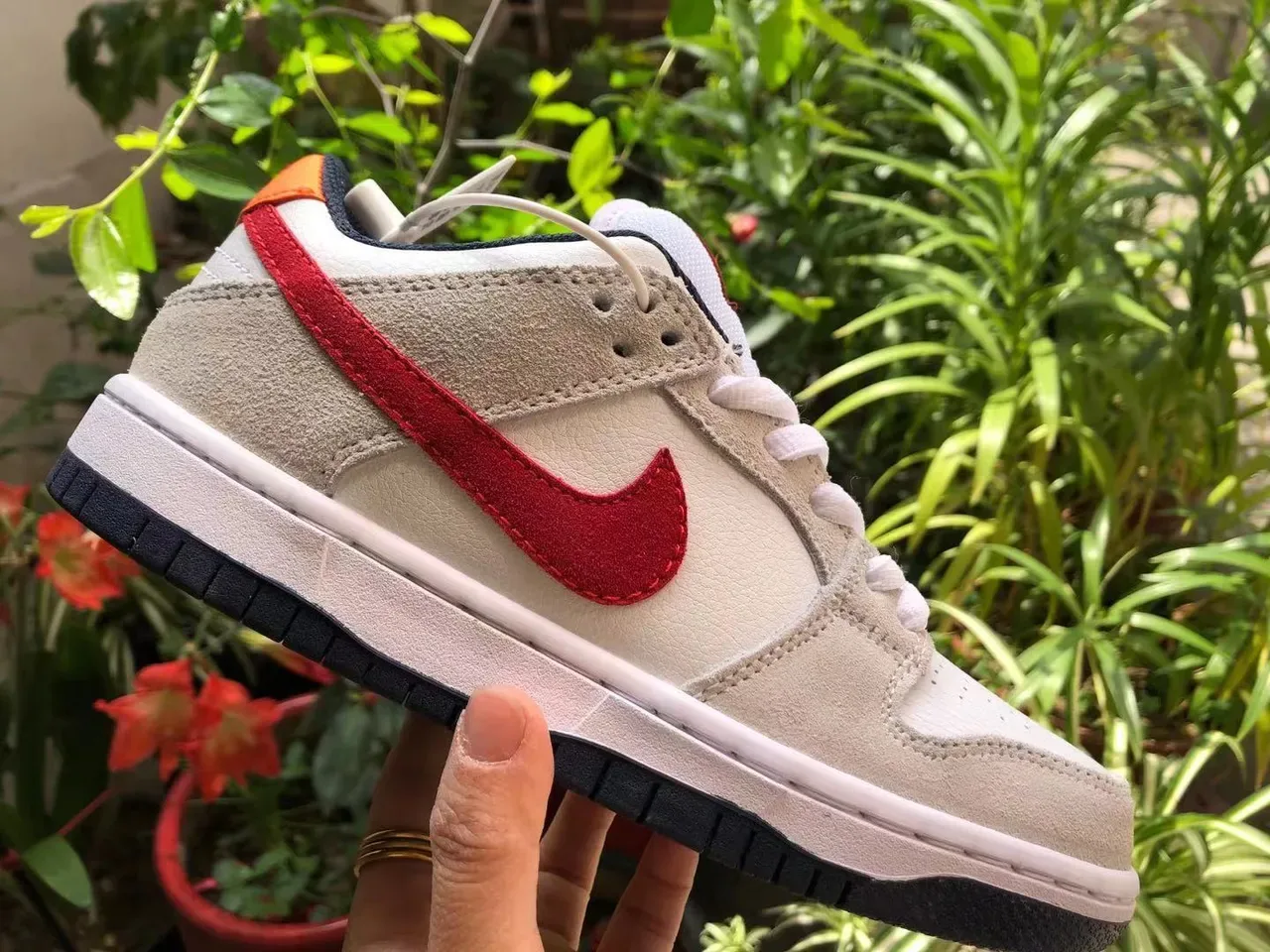 Nike SB Dunk Low Beige Red Skateboard Shoes 6