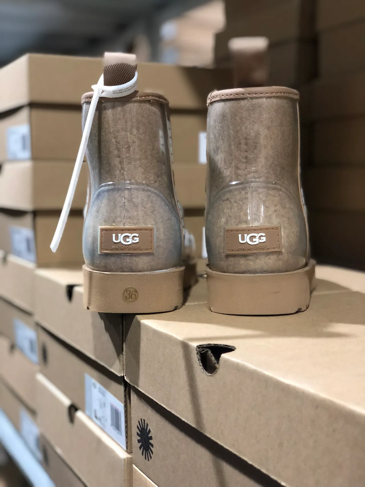UGG Tasman Beige Shearling-Lined Transparent Snow Boots 8