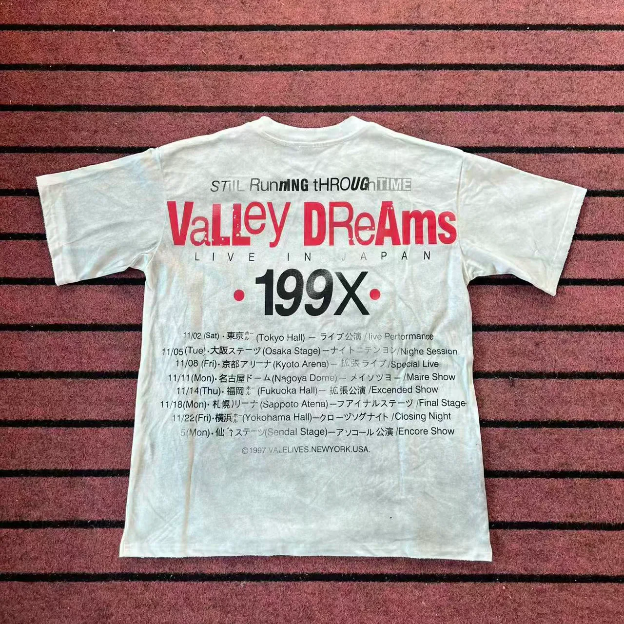 Camiseta gráfica Vale Forever Vale World Thing Through Time 2