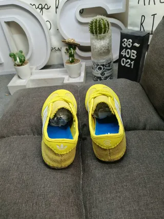 Adidas Yellow White Low-Top Textile Mesh/suede Upper Lifestyle Sneakers 8