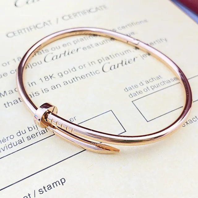 Cartier Juste un Clou Pulsera Oro Plata Motivo de Cabeza de Clavo Tubular 2