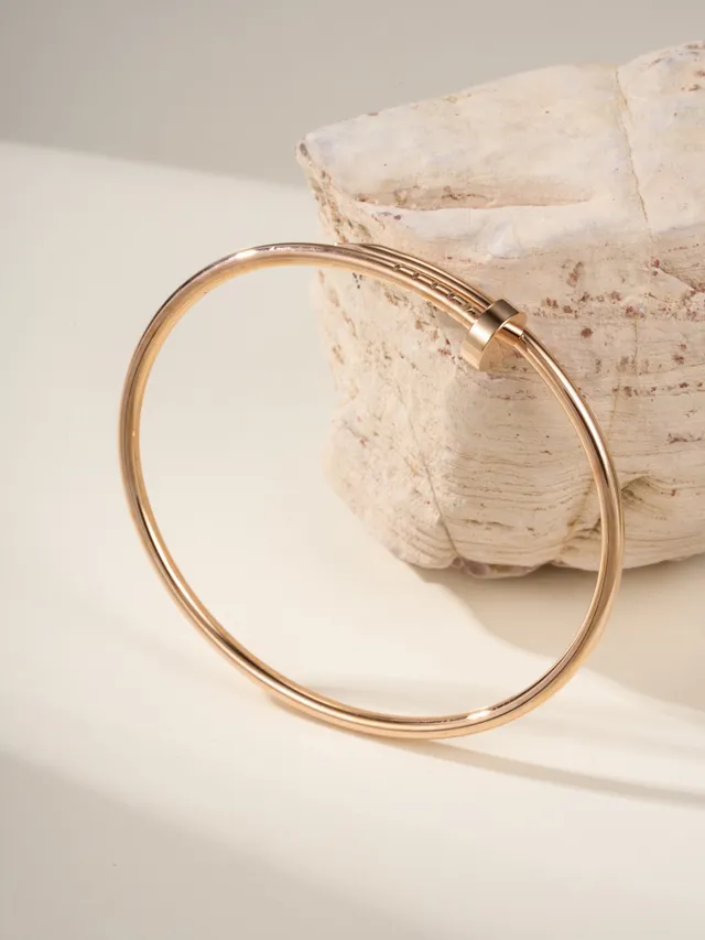 Cartier Juste un Clou Bracelet fin en or à fermeture à tête de vis 10