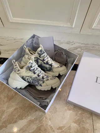 Dior B27 Toile Print White and Blue Chunky Sneakers 5