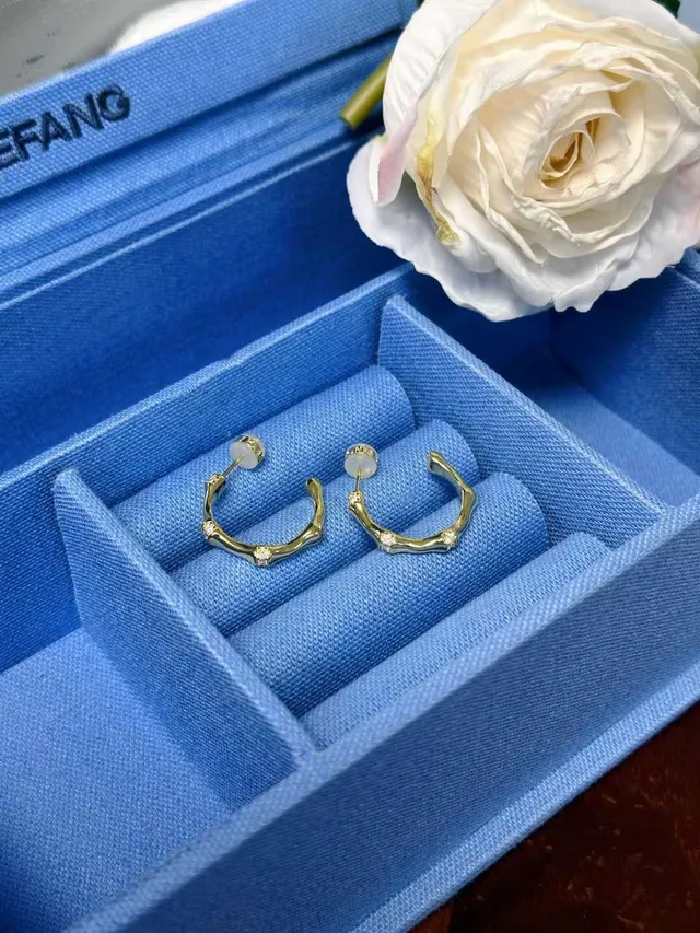 Gold Transparent Bamboo-Joint Motif Hoop Silhouette Earrings 3