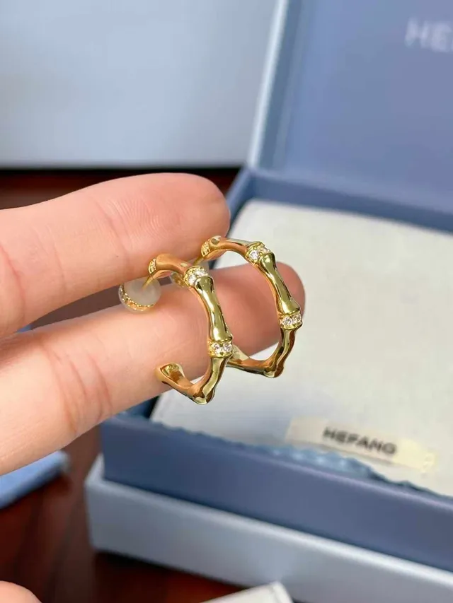 Gold Transparent Bamboo-Joint Motif Hoop Silhouette Earrings 8