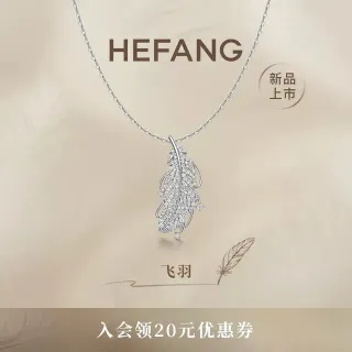 HEFANG 飞羽 Pavé 水晶羽毛项链