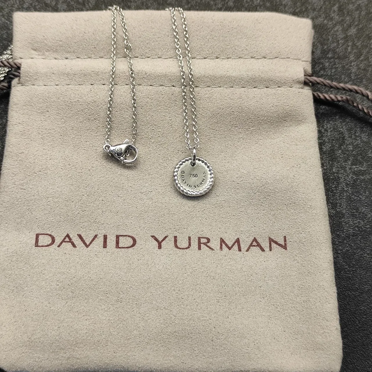 Silver-Tone Rope-Edge Initial 'N' Disc Pendant Necklace 4