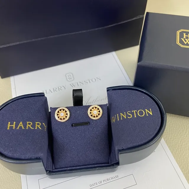 Sunburst Motif Pavé Halo Stud Earrings 4