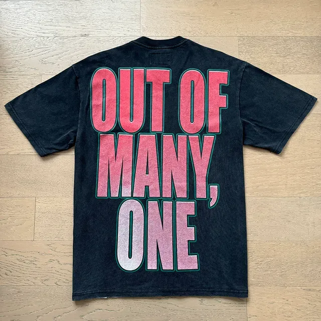 Godspeed Out Of Many One Graphic T-Shirt 7