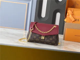 Louis Vuitton Brown Black Monogram Canvas Flap-Top Closure Chain Bag 19