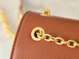 Louis Vuitton Brown Black Monogram Canvas Flap-Top Closure Chain Bag 22