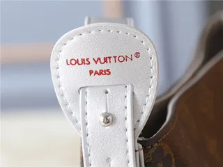 Louis Vuitton Brown White Monogram Canvas Silver-Tone Hardware Bucket Bag 3