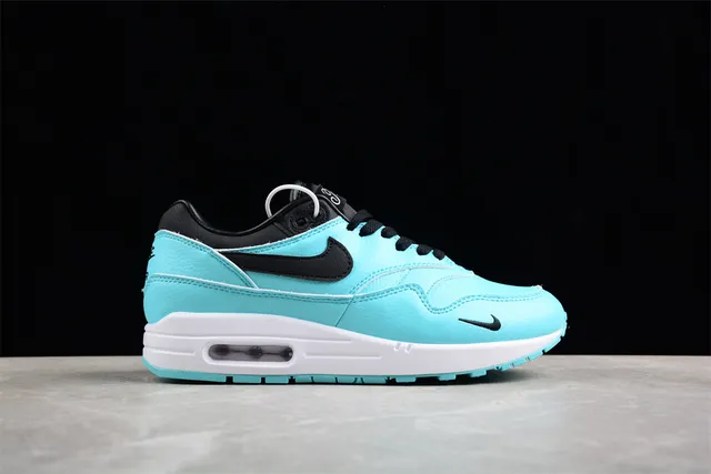 Nike Air Max 1 Turquoise and Black Lifestyle Sneakers 14