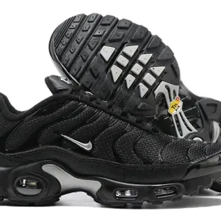 Nike Air Max Plus Black Silver Lifestyle Sneakers