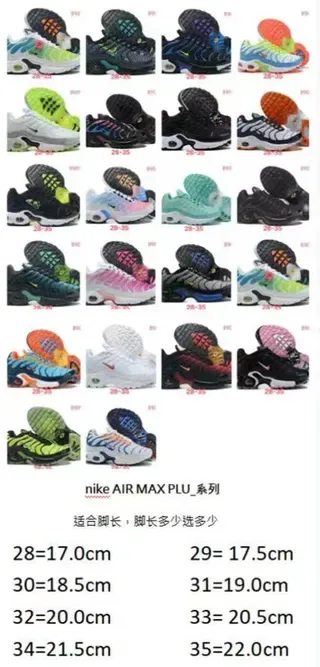 Nike Air Max Plus Lifestyle Sneakers 2