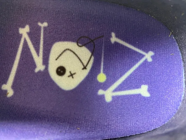 Nike Blue Purple Patchwork Canvas Embroidered Skull Detail Lifestyle Sneakers 7