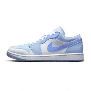Nike Blue White Low-Top Cupsole Lifestyle Sneakers
