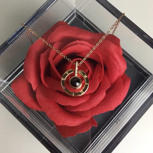 Swarovski Gold Black Chain Concentric Circular Pendant Necklace 2