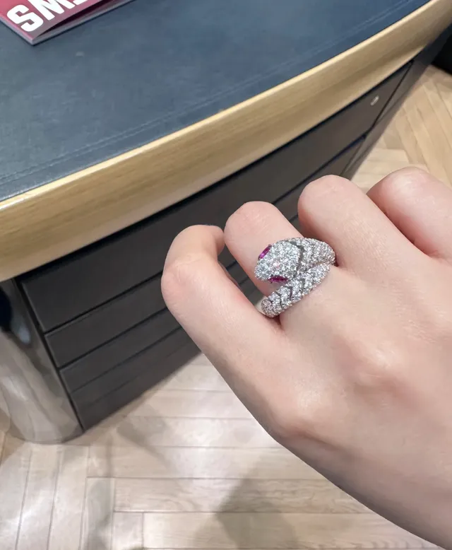 Van Cleef & Arpels Silver Red Coiled Serpent Motif Pavé-Set Diamonds Ring 3
