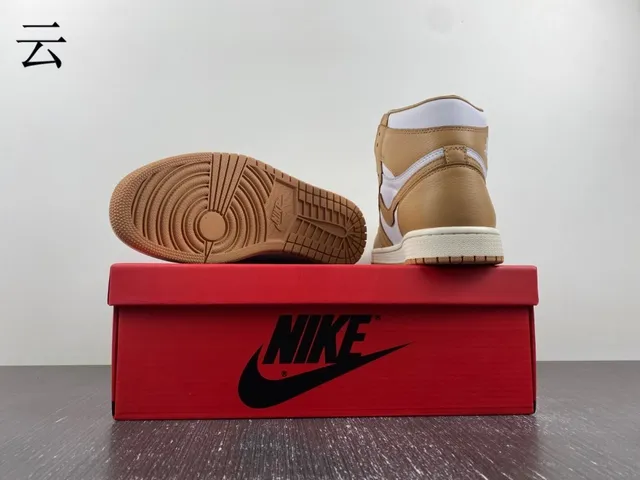 Chaussures de basketball en cuir Air Jordan 1 marron clair et blanc 10