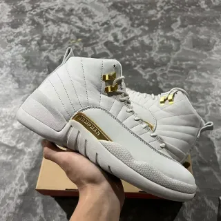 Air Jordan 12 浅灰色和金色篮球鞋